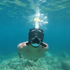 Man snorkeling underwater with a Ninja Shark full-face mask.