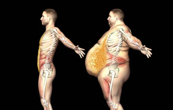 BODY FAT REDUCTION – Health and Fitness