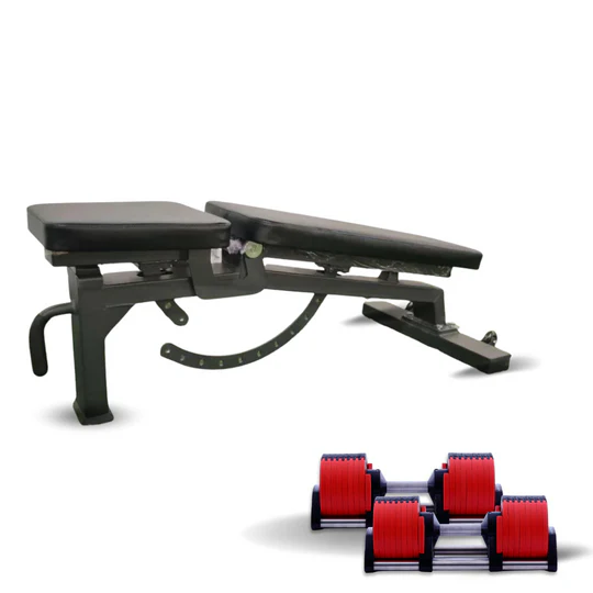 Versatile adjustable workout bench with a pair of adjustable dumbbells, ideal for home and gym health and fitness routines.